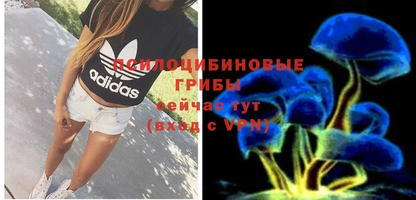 винт Саяногорск