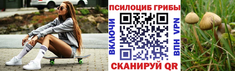 Галлюциногенные грибы Magic Shrooms Купить Пенза